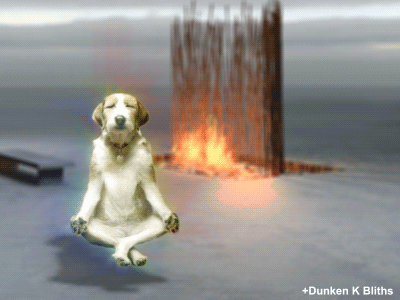 giphy-2.gif