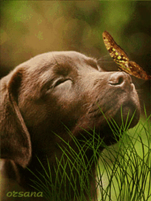 3406e8904358a2440c0204ce155f47b6.gif