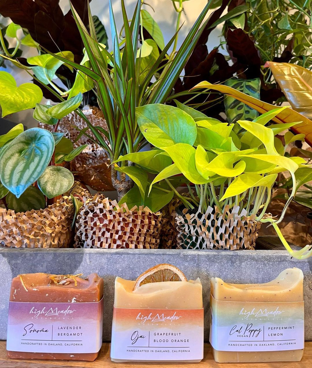High Meadow Botanical soap
