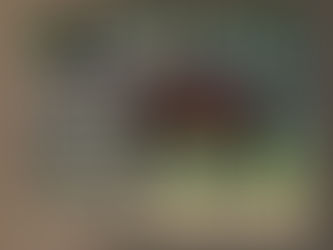 Always leave the horse better 