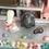 Thumbnail: 3 Easter Dollhouse Miniatures, Chocolate Rabbits, Egg Mold
