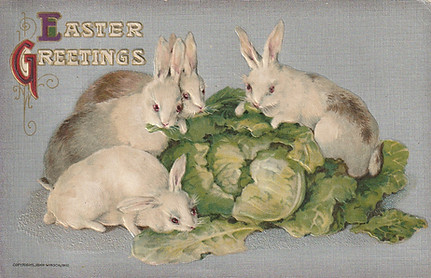 CabbageBunnies.jpg