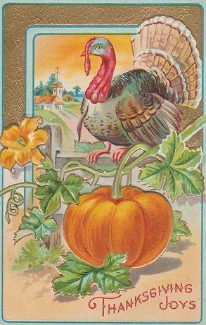 TurkeyonPumpkin300.jpg