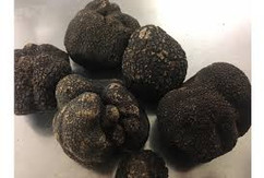Mélanosporum
