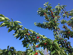 IMG_4461.jpeg