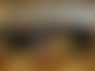 VFA Sverige med 25 års jubileum