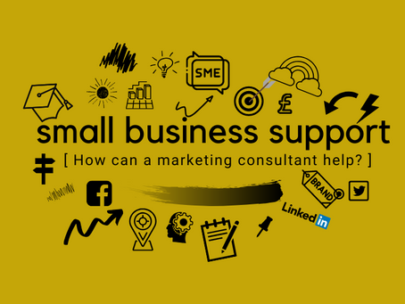What does a Small Business Marketing Consultant do?