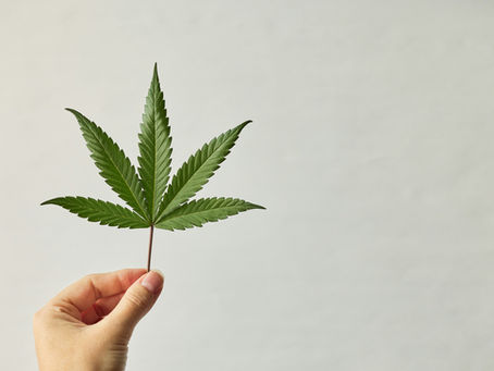 Cannabis Friendly Treatment for Addiction