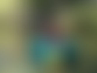 NATURE-DEFICIT IN CHILDREN?