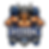 VIKING HYROX LOGO.png