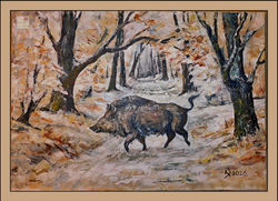 Keiler im Winter ab KB web b R