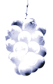 無題445_20240819225701_edited.png