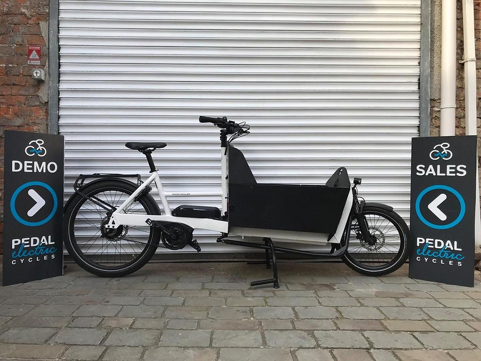 Thumbnail: Riese&Muller Transporter2 65 Vario