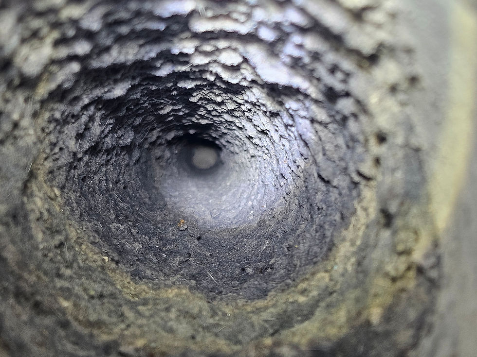 Dirty dryer vent at a home in Knolls at Russell Creek in Plano, TX