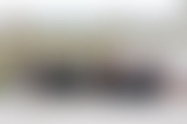 Sesión fundacional de IALE