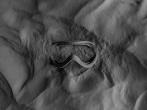 粉末焼結積層造形(SLS)方式3Dプリントガイドブック|ホワイトペーパーのご案内