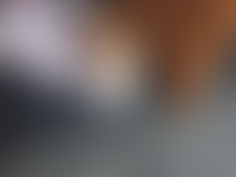 Animal Seizure Raises More Questions About Augusta County's Troubled Animal Control Practices