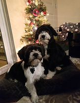 20201204_222843.jpg