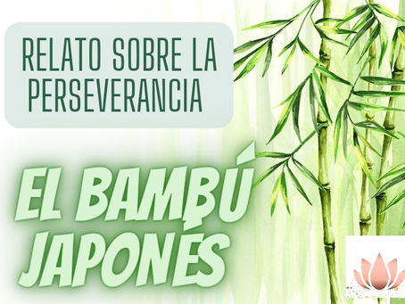 Relato sobre la perseverancia: El bambú japonés