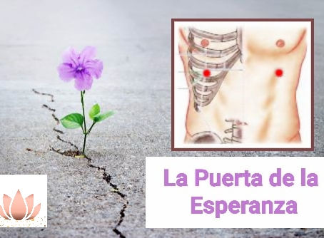 Hígado 14: la puerta de la esperanza