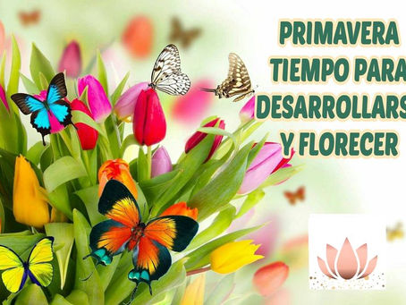Primavera: tiempo para desarrollarse y florecer