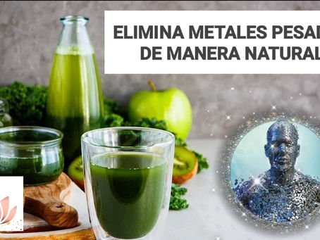 Elimina metales pesados de manera natural