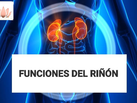 Funciones del Riñón