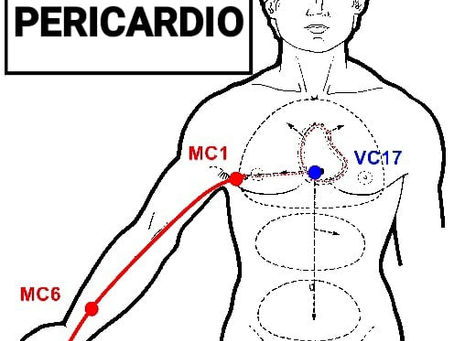 Meridiano Pericardio