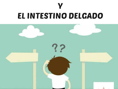 El discernimiento y el intestino delgado