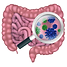 GUT.png