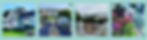 Untitled design (1)_edited.jpg