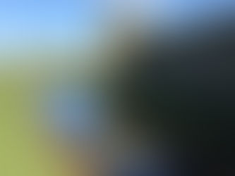 ‘Lockdown’ - Addendum