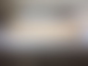 Stable door - lower section, part 1