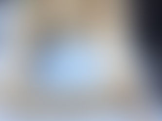 Stable door - lower section, part 3