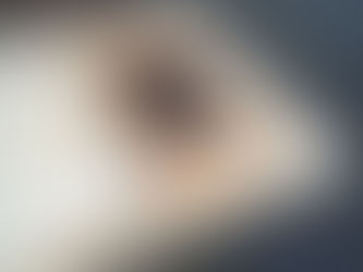 Stable door - upper section, part 7