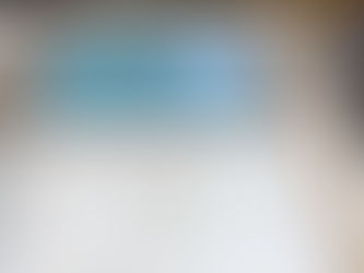 Stable door - upper section, part 4