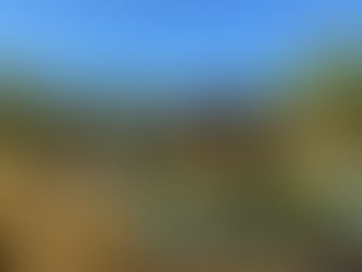 Chessington World of Adventures- Rainforest Land