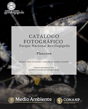CATÁLOGO FOTOGRÁFICO de plancton del Parque Nacional Revillagigedo.jpg