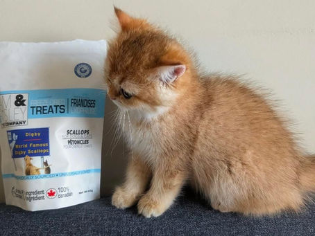 The Science of Taste