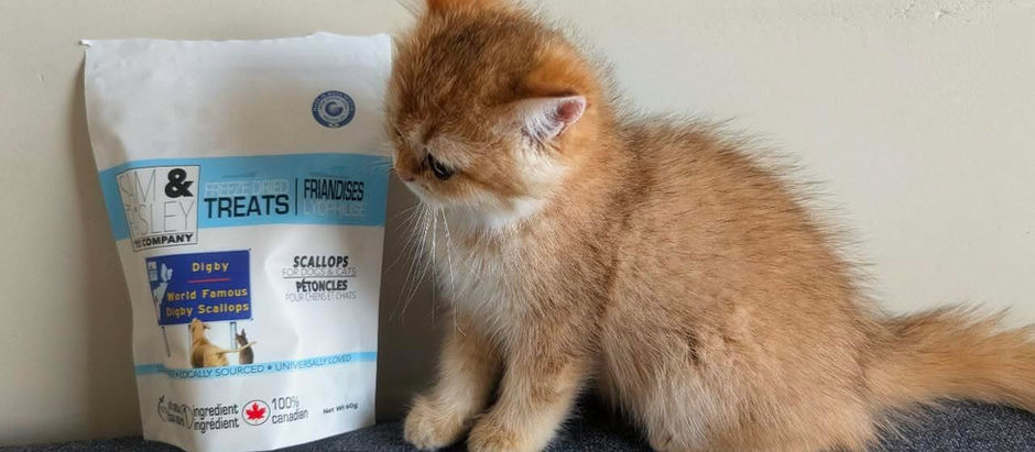 The Science of Taste