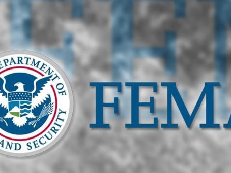 Immigrants over American citizens