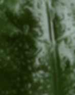 pexels-caio-mantovani-97605853-17905810.jpg