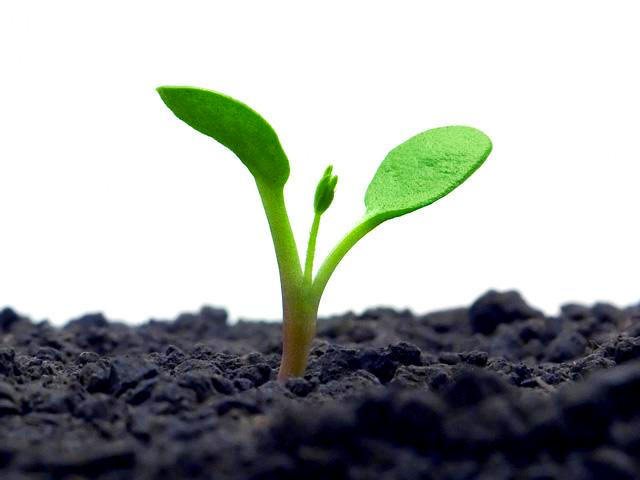 How We Grow - 3 Simple, Yet Critical Areas
