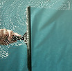 Window Cleaning