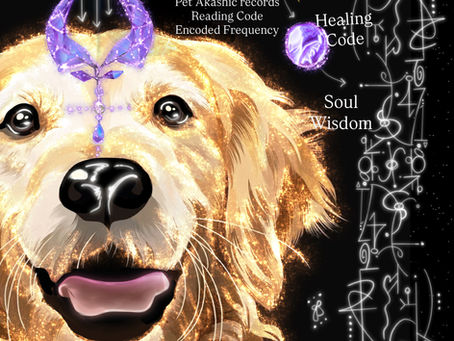Some angels don’t have visible wings and this Golden retriever is one of them