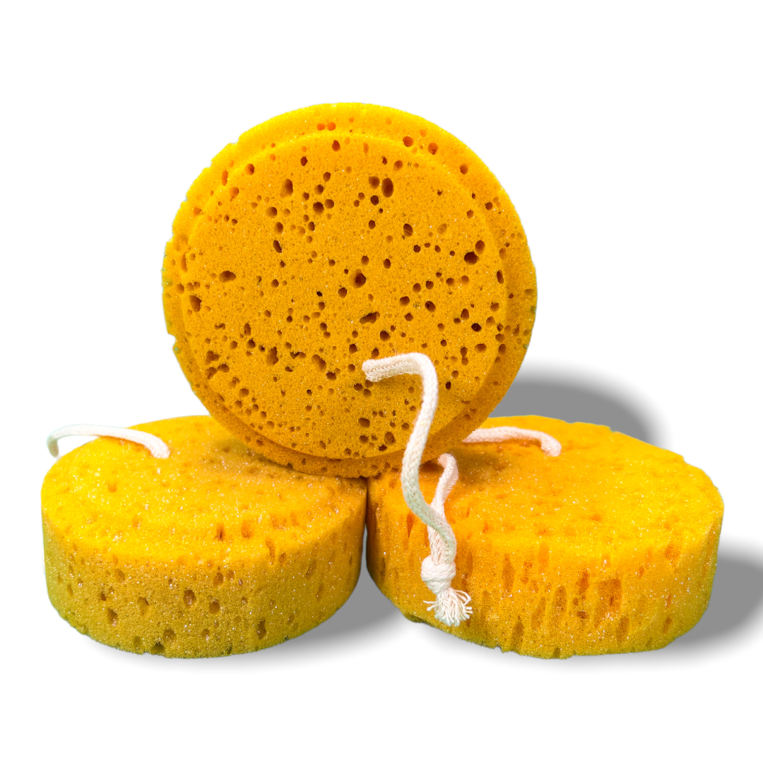 Bath Sponge