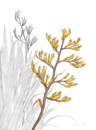 Botanical Art Worldwide Exhibition 2025