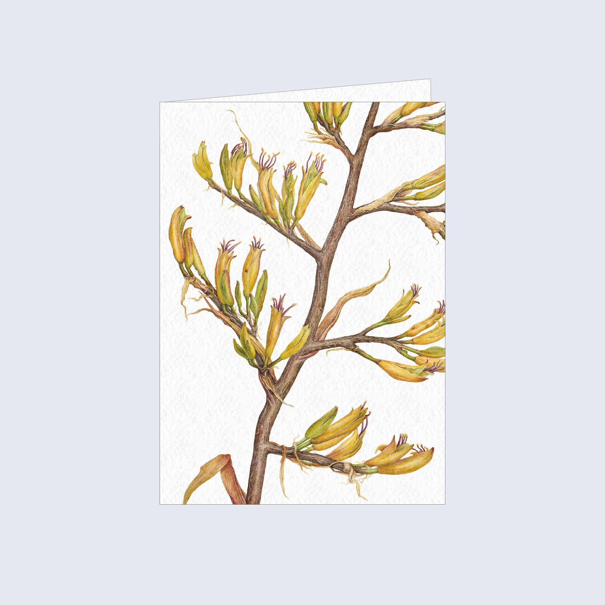 Greeting Card - Mountain Flax (portrait)