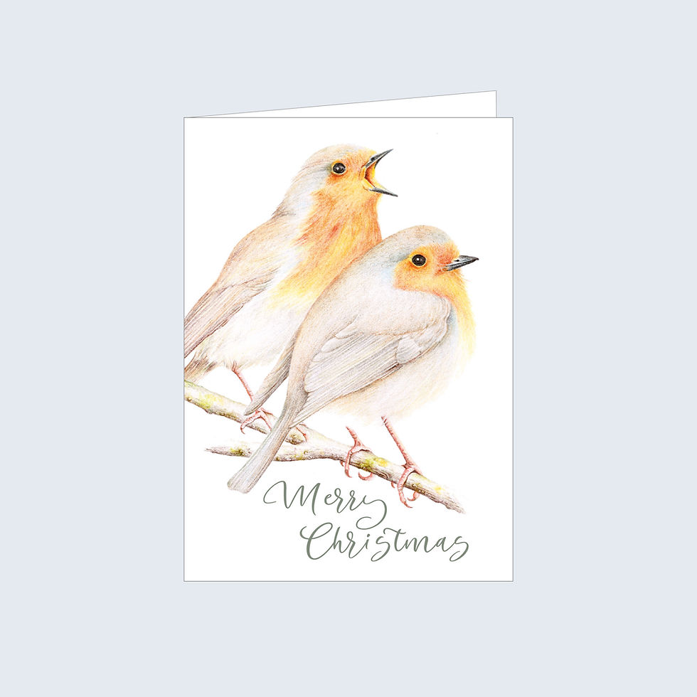 Greeting Card - Xmas Robin Redbreasts