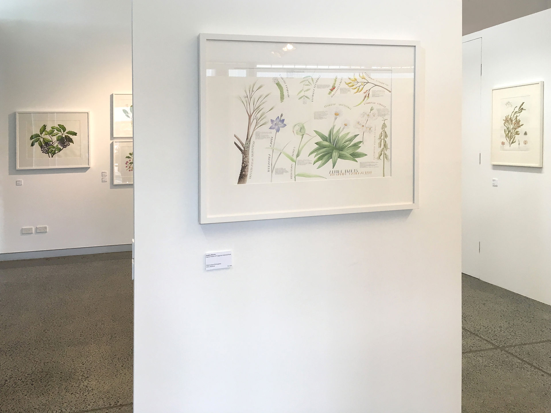 Botanical Art Worldwide